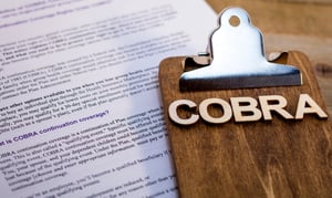 COBRA_Updated_Model