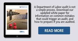UBA Department of Labor Audits white paper
